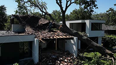 Large Tree Fell on Modern House Causing Extensive Damage in Residential Area