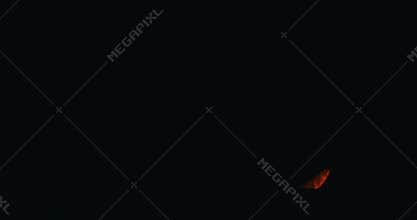 Deeply Red Crescent Moon Glowing in Dark Sky