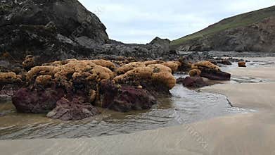 Rocks of beauty shaped like honeycombs