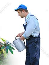 Gardener - worker in working clothes, watering plants with watering can