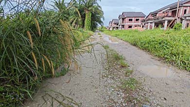 stagnant pool of rainwater along the diminishing perspective rural pathway into the rural countryside