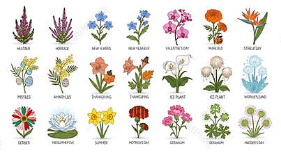 Festive flower icons arranged to celebrate many different holidays and seasons