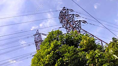 high voltage power line poles around lush green tree with blue sky background.