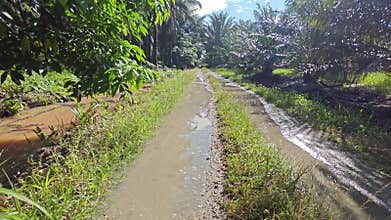 stagnant pool of rainwater along the diminishing perspective rural pathway into the rural countryside