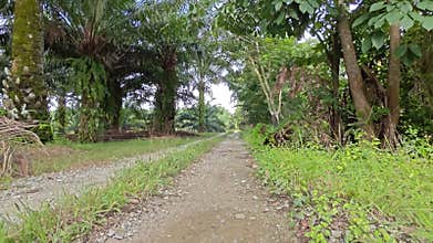 stagnant pool of rainwater along the diminishing perspective rural pathway into the rural countryside