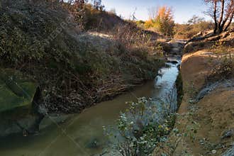 Flowing creek amidst autumn foliage in a peaceful natural landscape at dawn