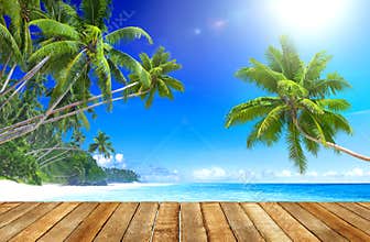 Tropical Paradise Beach and Wooden Plank Floor