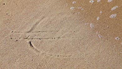 Sign 'Euro' Washed Away on the Beach