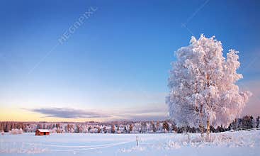 Muhos winter