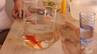 Goldfish swimming inside a glass laboratory beaker