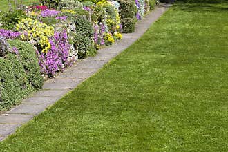 Beautiful Garden Lawn Flowers