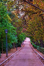 Beautiful tree lined pathway in autumn colors leading into a serene park setting during early evening hours