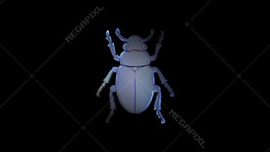 Glitching beetle transforming into digital artifact on black background