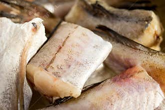 Fish, Walleye pollock, Alaska pollock