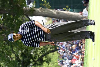 Tiger Woods
