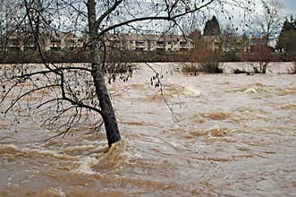 Flooding River