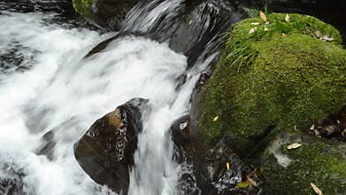 Brook beside mossy stones