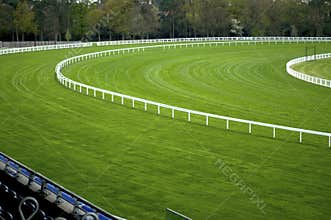 Empty Racecourse