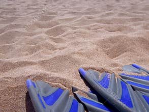 Scuba fins on beach