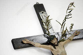 Jesus Christ on cross with olive branch on white background