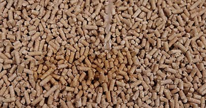 a large number of cylindrical fuel pellets made from sawdust of