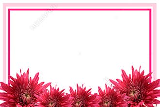 Blooming flower frame