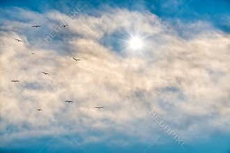 Uplifting Inspired Spiritual Soul Star Clouds
