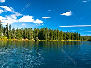 Mountain lake in forest