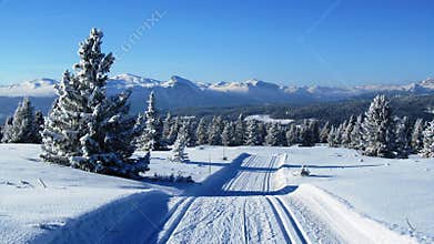 Cold winter day in Norway