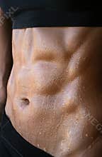 Female Abs