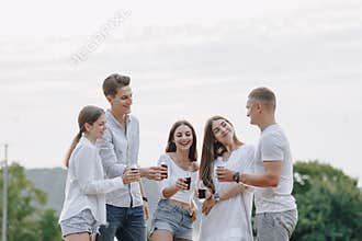 Picnic friends with pizza and drinks, sunny day, sunset, company, fun, couples and mom with baby