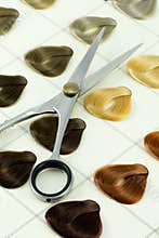 Hair color samples