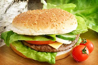 Fast food burger