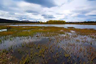 Fish Lake, Whitehorse, Yukon Fall Scenery