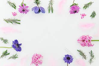 Floral frame with pink and blue flowers and feathers on white background. Flat lay