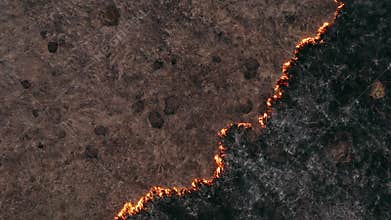 Top view and flying over the field with a line of fire. Epic video shooting, smoke clouds, the spread of fire