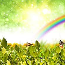 Nature background