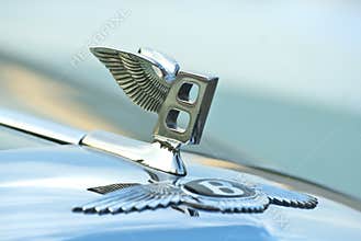 Figure-emblem Bentley Logos on a car cowl