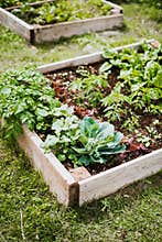 Raised beds