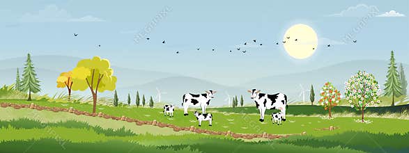 Rural farm lansdscape with green fields and barn animals cows, windmills on hill with blue sky and clouds, Vector cartoon Spring