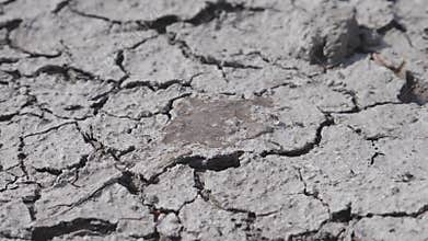 Drop of water dripping on