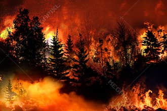 Massive California Apple Fire forcing thousands of people to evacuate their homes, wildfires spreading rapidly, escaping to save