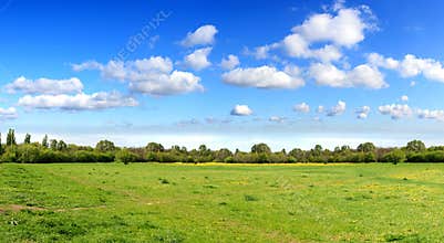 Panorama of sky clouds and grass on meadow
