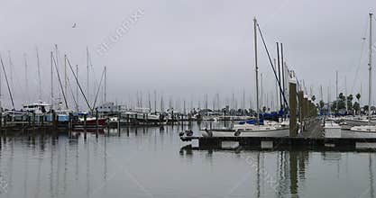 Corpus Christi sports boat marina dock harbor 4K