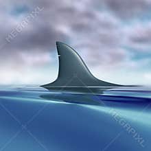 Shark fin above water