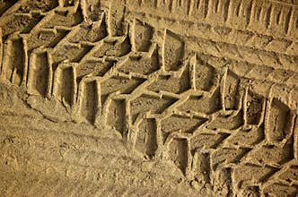 Tire Tracks