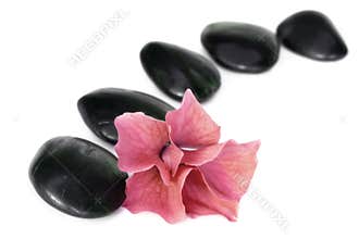 Spa Stones and Flower