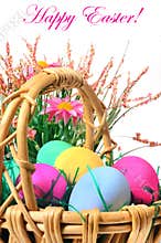 Easter colored eggs in the basket.
