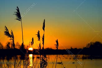 Sunset over wetland