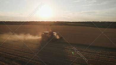 Aerial view combine harvester gathers the wheat crop. Wheat harvesting shears. Combines in the field food industry